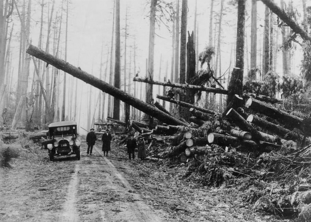 1921: The Great Olympic Blowdown